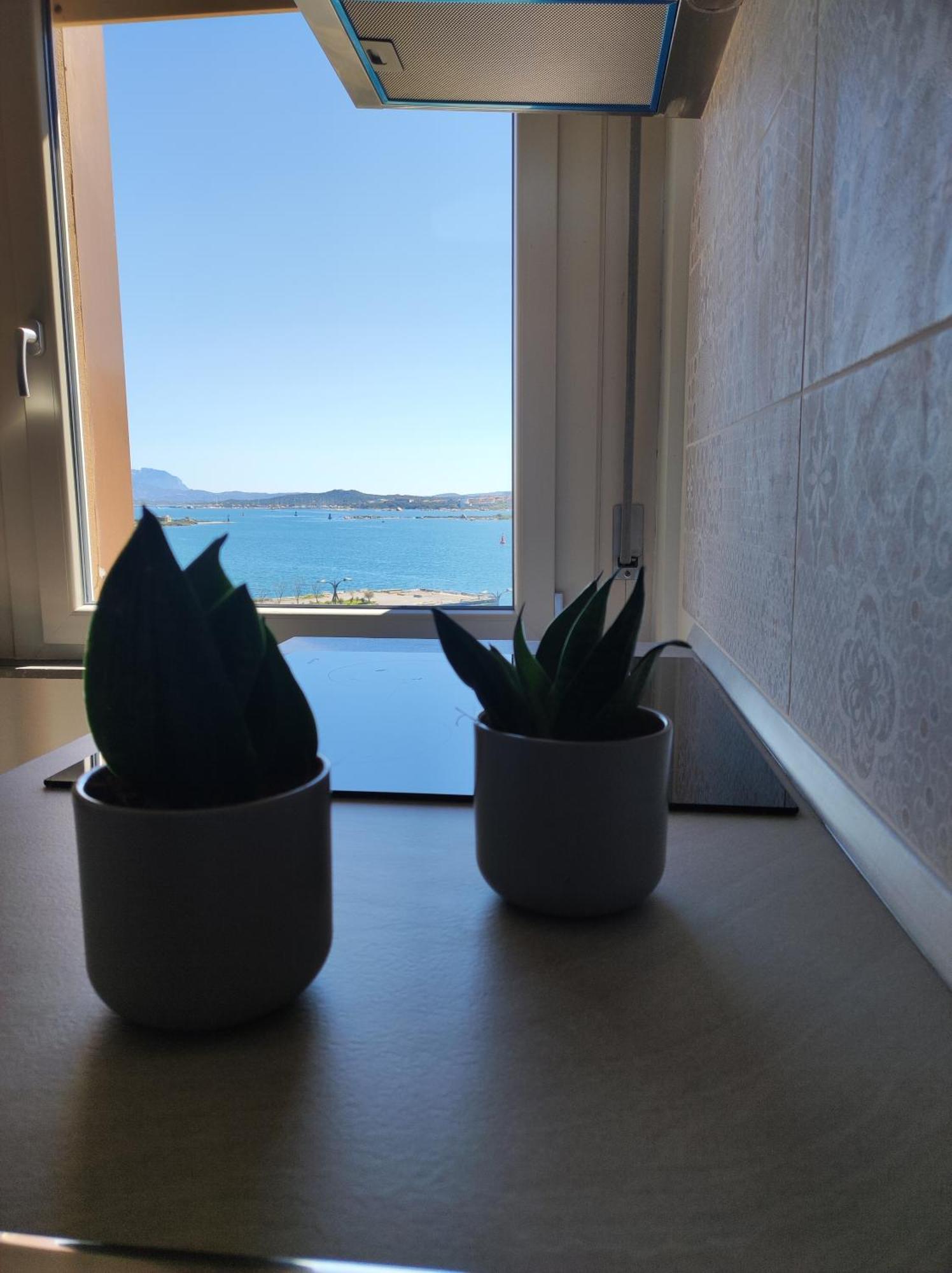 Seaside Apartments Casa Carla E Casa Andrea Olbia Dış mekan fotoğraf